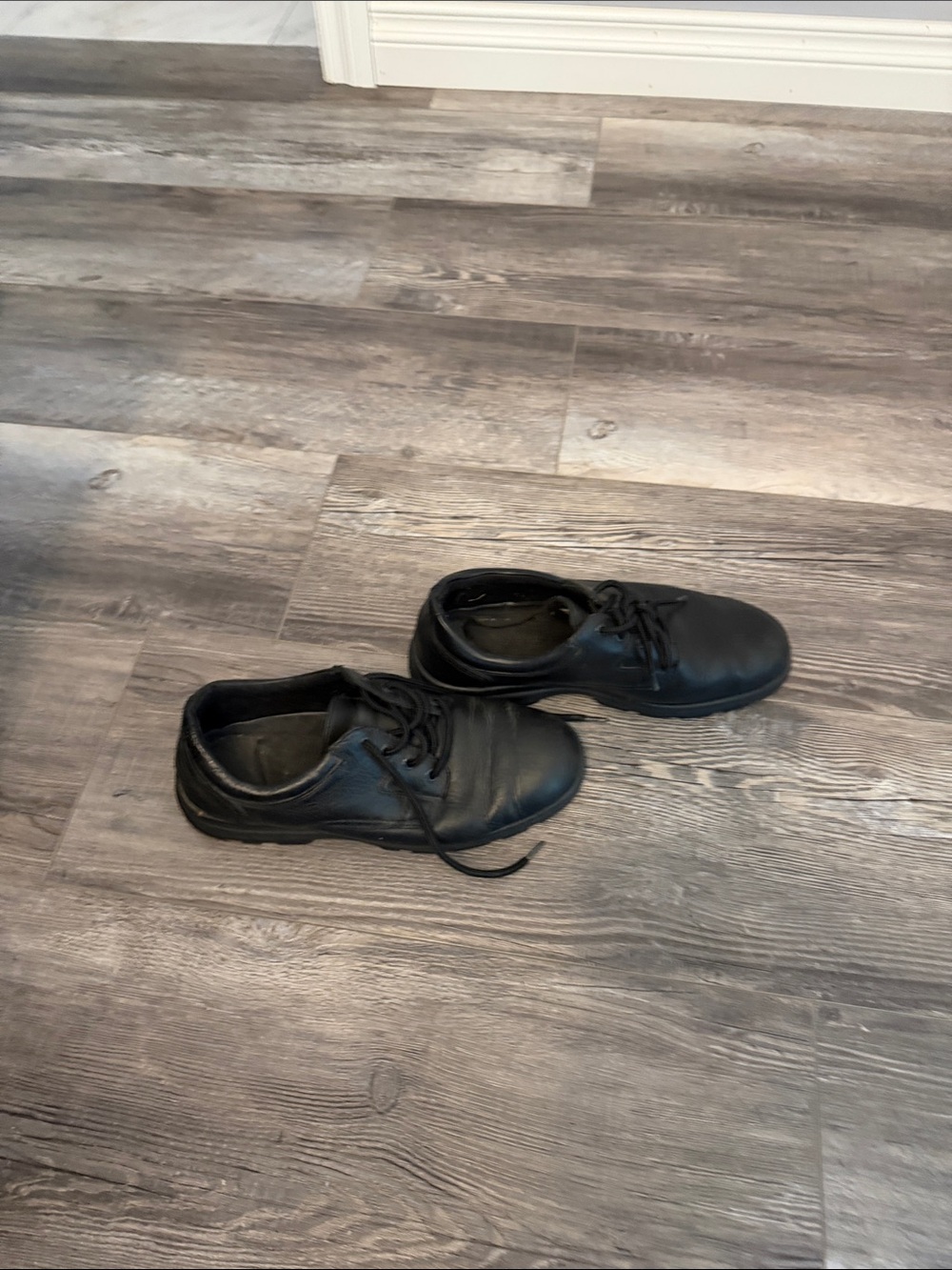 Hush‎ Puppies Men's Black Lace-Up Work Shoes